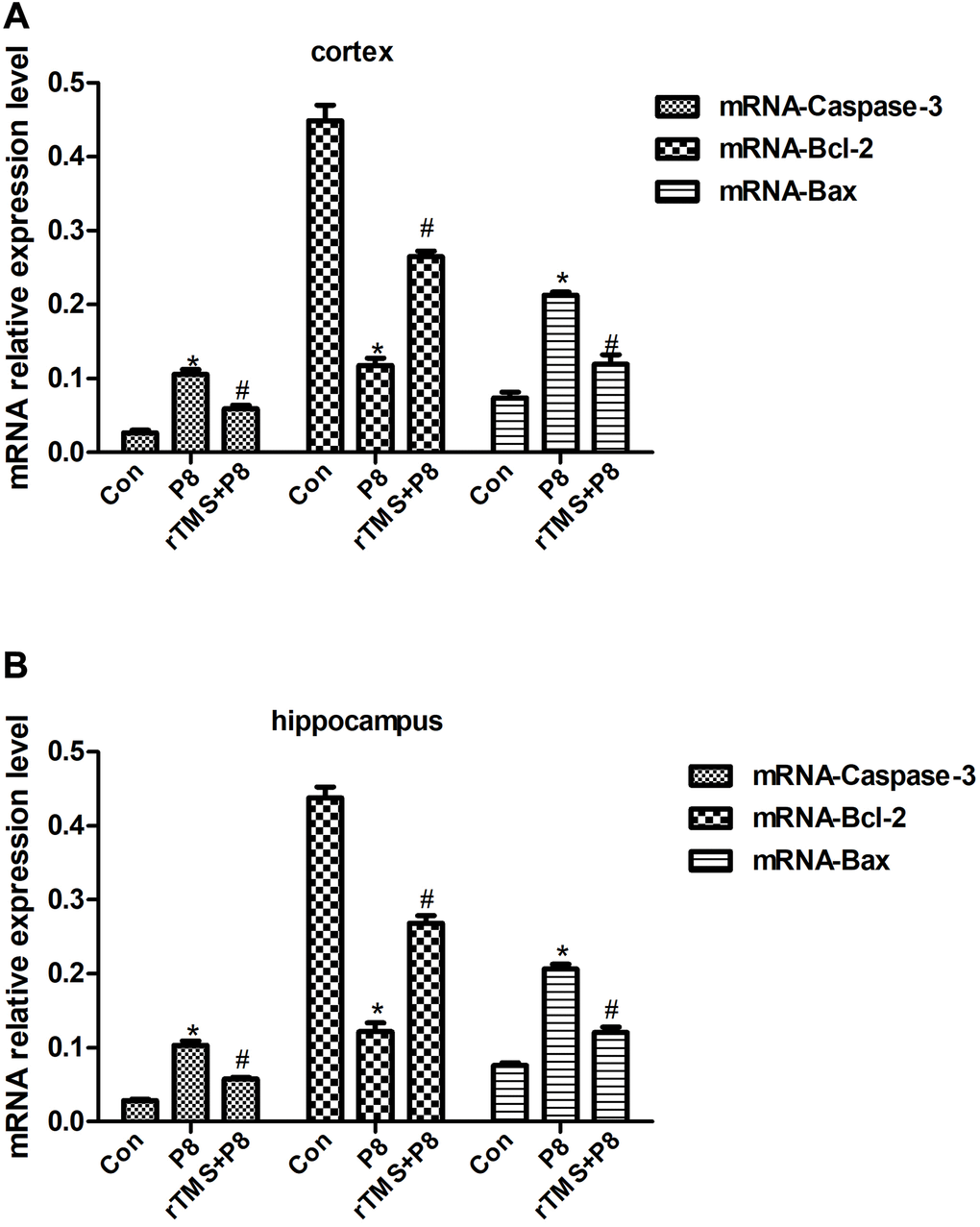 Relative Caspase-3, Bcl-2 and Bax mRNA expression in cortical and hippocampal tissues of the in three groups of mice. (A) Relative mRNA expression in mouse cortex. (B) Relative mRNA expression in mouse hippocampus. The data are presented as the mean ± standard deviation (n =5). *P 
