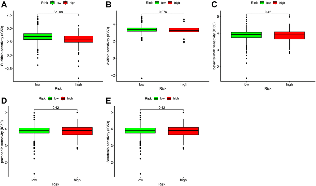 Correlation analysis of immune-targeted drugs in patients with ccRCC. The risk factor score was used as a potential predictor. Compared with the low-risk group, the sunitinib IC50 value of high-risk patients was lower (A), which was statistically significant (P = 3e-08). Axitinib (B), bevacizumab (C), and pazopanib (D), and sorafenib (E) were not significantly different between the high- and low-risk groups.