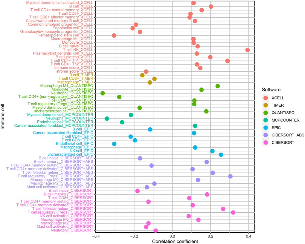 Correlation analysis of immune infiltrating cells in ccRCC.