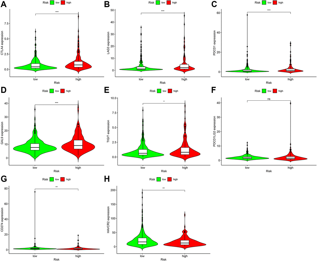 Correlation analysis of genes in patients with ccRCC. In the high-risk group, the expression levels of CTLA4 (A), LAG3 (B), PDCD1 (C), GAL9 (D), and TIGIT (E) increased. Although the expression level of PDCD1LG2 (F) increased, it was not statistically significant. CD274 (G) The expression level of HAVCR2 (H) decreased.