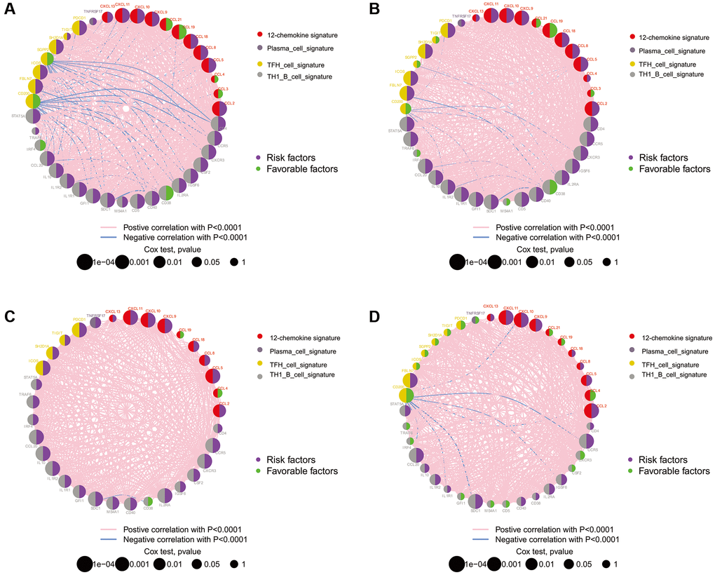 The prognostic effect of TLS genes in glioma of TCGA, CGGA and GSE16011. (A) TCGA; (B) CGGA