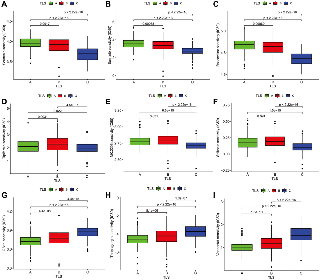 The Association analysis of TLS subtype and drug sensitivity. (A–C) Sorafenib, Sunitinib, Roscovitine were the most sensitive drugs to A subtype. (D–F) Tipifarnib, MK.2206, and Shikonin were the most sensitive drugs to B subtype. (G–I) QS11, Thapsigargin, and Vorinostat were the most sensitive drugs to C subtype.