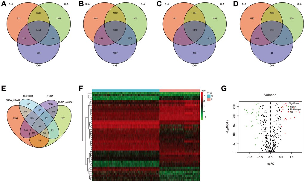 The common genes among TLS subtypes from TCGA, CGGA