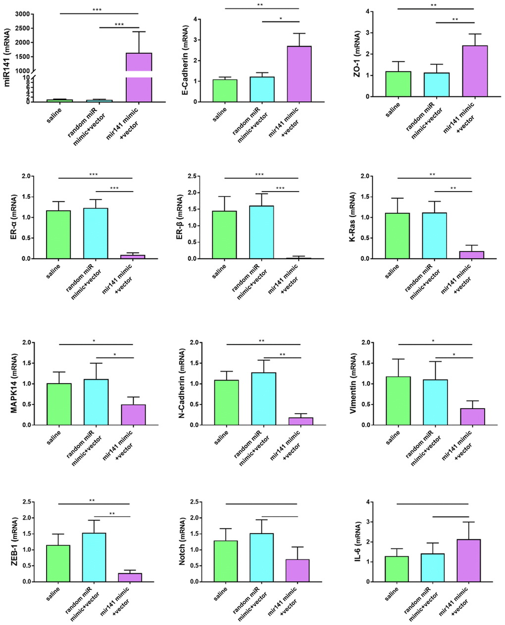 Effects of miR-141-5p treatment on mRNA expression of pathologically related genes in endometriosis detected by RT-qPCR. miR-141-5p treatment significantly decreased n-cadherin, Vimentin, K-ras, MAPK-14, ER-α, ER-β, ZEB-1 expression levels, and increased E-cadherin, ZO-1 expression levels. The data were shown as average percentage ±SEM. Replicated 3 times with 3 separate samples (*P 