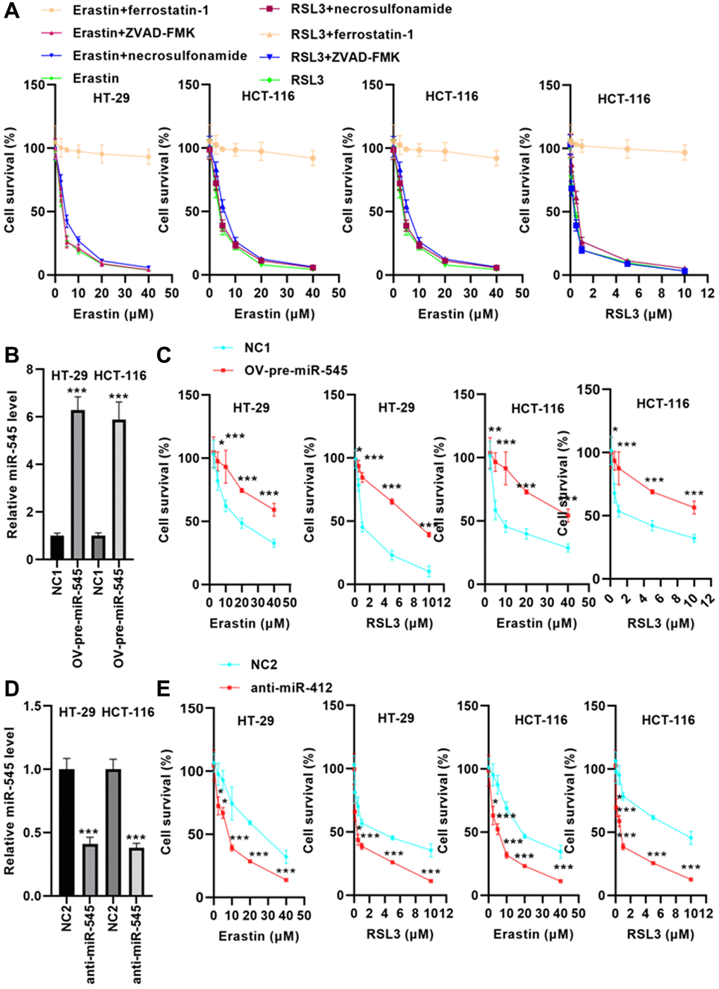 miR-545 increased erastin and RSL3-induced ferroptosis in HT-29 and HCT-116 cells. (A) Erastin and RSL3 significantly decreased cell survival rate in a dose-dependent manner. (B) RT-PCR showed that transfection with OV-pre-miR-545 significantly increased miR-545 levels in HT-29 and HCT-116 cells. (C) Pretreatment with miR-545 significantly increased HT-29 and HCT-116 cell survival rates. (D) Transfection with anti-miR-545 significantly reduced miR-545 levels in HT-29 and HCT-116 cells. (E) CCK-8 assay demonstrated that miR-545 knockdown further reduced the erastin and RSL3-induced decrease in cell survival rate. *p **p ***p 