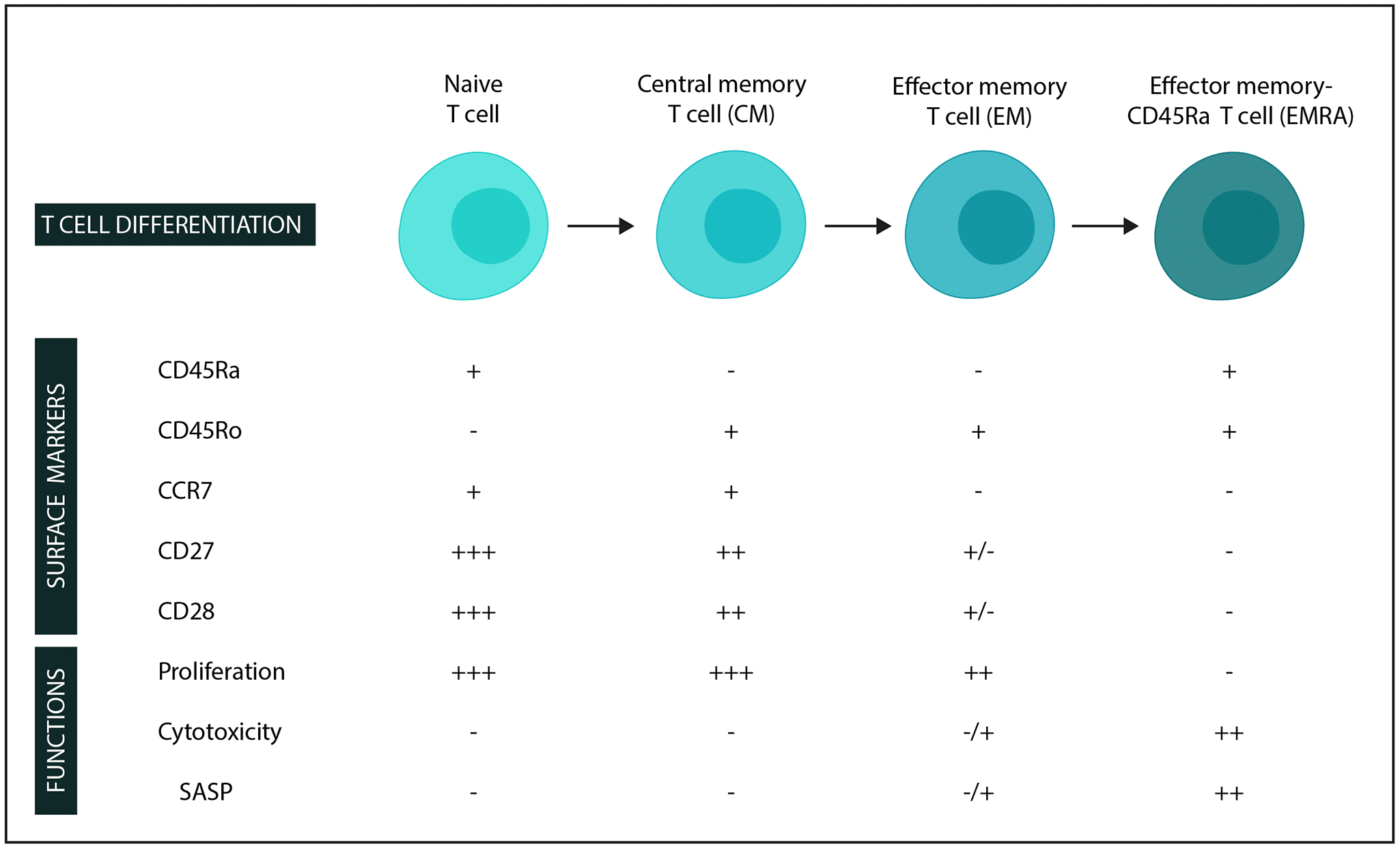 class="figure-viewer-img"