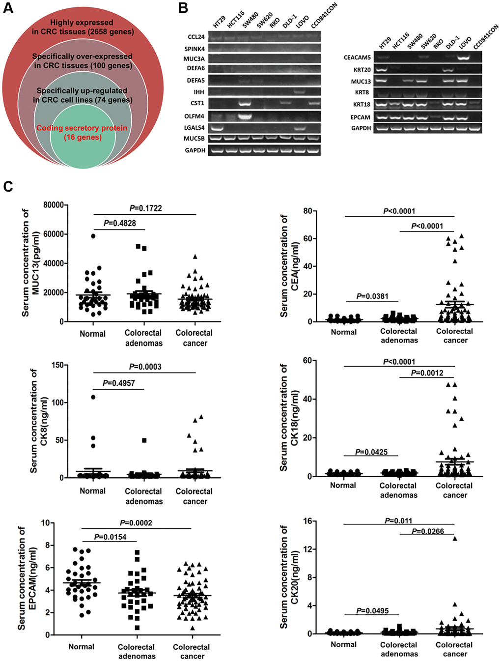 The serum levels of CEA, CK18, CK20, CK8, MUC13 and EPCAM in CRC, CA patients and healthy controls. (A) Screening specific genes that encode secretory proteins in CRC by bioinformatics. (B) Testing the expression of candidate serum biomarker genes by Q-PCR in 8 cell lines. (C) Detection of the serum levels of CEA, CK18, CK20, CK8, MUC13 and EPCAM in CRC, CA patients and healthy controls by ELISA.
