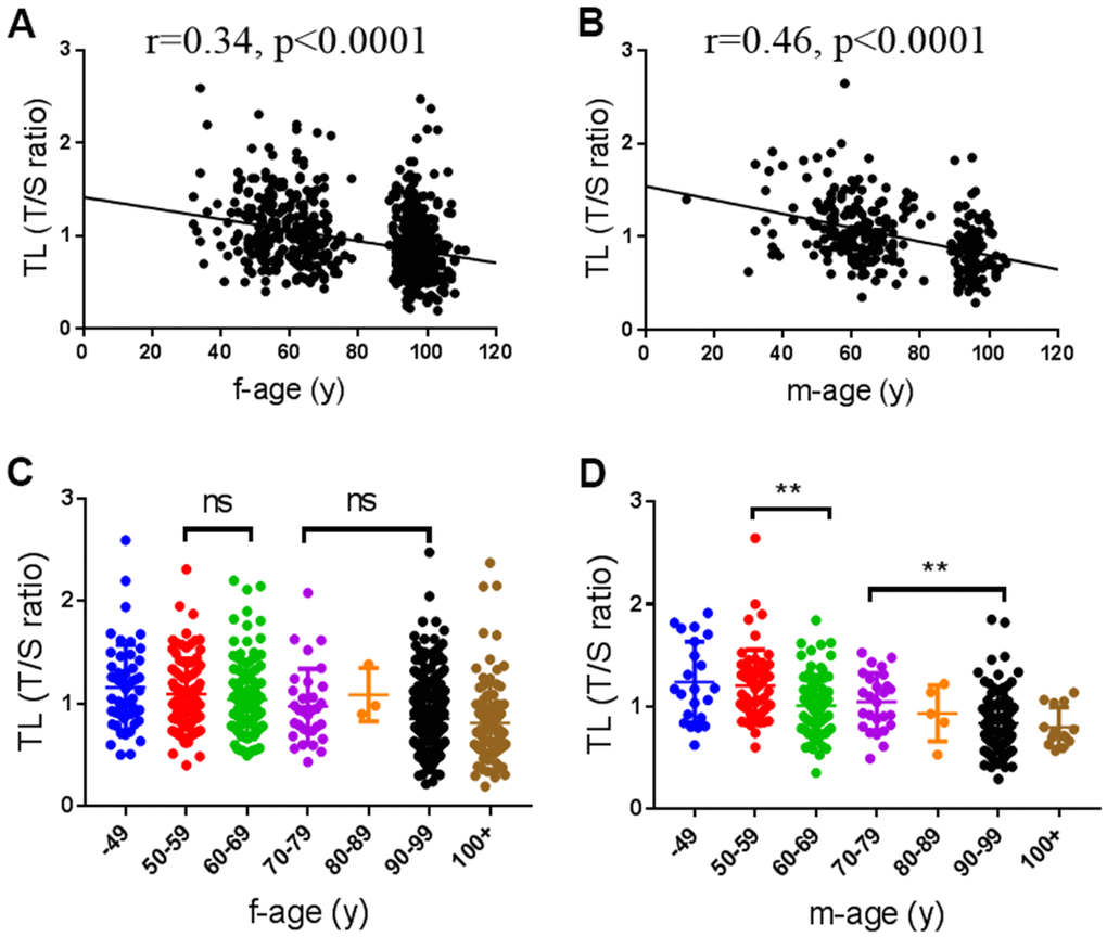 Associations of telomere length (TL) with age. (A, B) Scatter plot of TL with age in female (n=720) and male subjects (n=289), respectively. (C, D) The distribution of TL in female and male at different age groups. f, female; m, male.