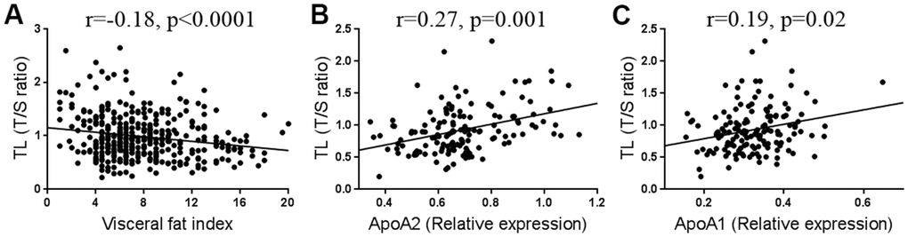 Correlation between telomere length (TL) and visceral fat (n=394) (A), ApoA2 (n=144) (B), and ApoA1 levels (n=144) (C).
