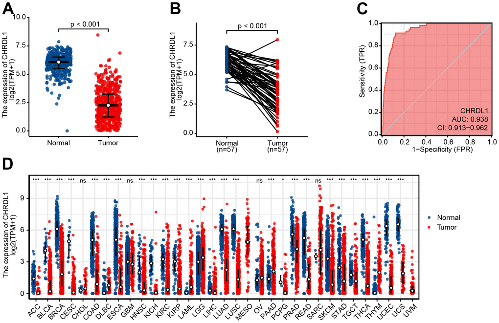 Expression difference of CHRDL1 in normal samples and tumour samples. (A) Expression of CHRDL1 in normal samples from TCGA and GTEx and tumour sample of LUAD. (B) Expression levels of CHRDL1 in paired tumour and adjacent samples of LUAD. (C) ROC analysis of CHRDL1 expression showing promising discrimination power between tumor and non-tumor tissues in LUAD. (D) Expression levels of CHRDL1 in Pan-cancer. ns, P{greater than or equal to}0.05; *, P