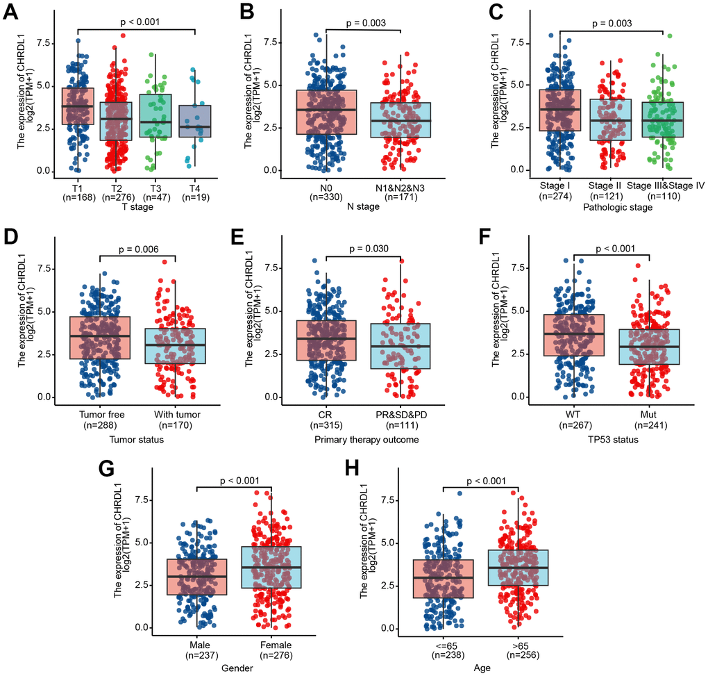 Association between CHRDL1 expression and clinicopathologic characteristics, including (A–H): T stage (P