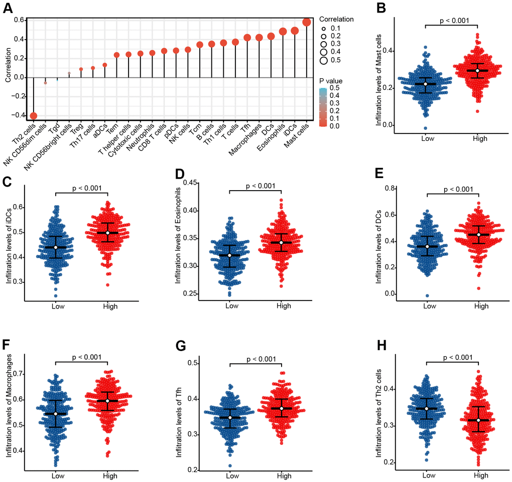 The expression level of CHRDL1 was associated with the immune infiltration in the tumour microenvironment. (A) Correlation between the relative abundances of 24 immune cells and CHRDL1 expression level. The size of the dots shows the absolute value of Spearman r. The colors represent the P-value. (B–H) The difference of immune cells infiltration level between CHRDL1 high and low expression groups was analyzed by Wilcoxon rank sum test.