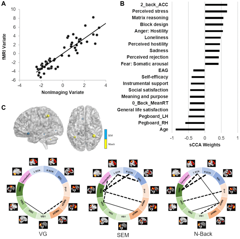 Results of the sCCA between non-imaging and fMRI datasets across all participants. (A) Significant correlation across all participants (r = 0.91, p = 0.0004). (B) Top behavioral–health variables most strongly associated with the imaging variate. (C) Top fMRI features most strongly associated with the non-imaging variate. Dashed lines between networks indicate negative contributions of the FNC; solid lines between networks indicate positive contribution of the FNC. Details in Supplementary Tables 3 and 5.