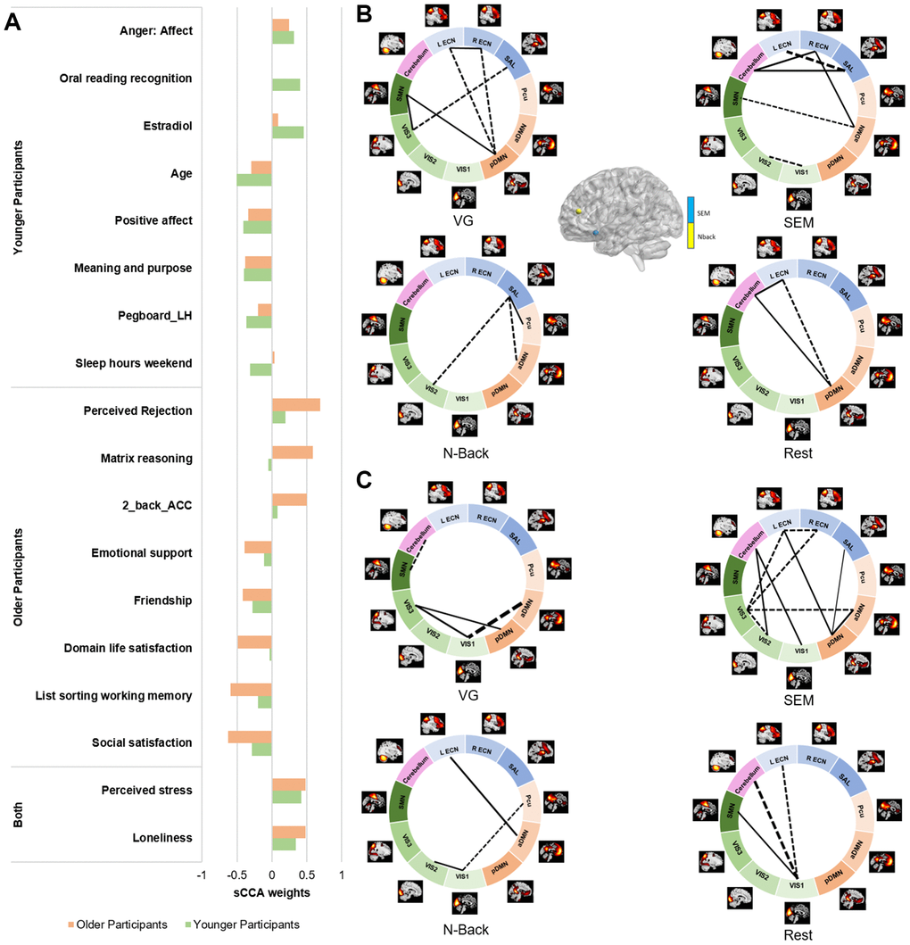 Top 10 features contributing to the fMRI sCCA in younger and older groups, separately. (A) Top behavioral–health variables most strongly associated with the imaging variate in each subgroup. (B) Top fMRI variables most strongly associated with the behavioral–health variate in the younger group. (C) Top fMRI variables most strongly associated with the behavioral–health variate in the older group. Dashed lines between networks indicate negative contributions of the FNC; solid lines between networks indicate positive contribution of the FNC. Details in Supplementary Tables 3 and 5.