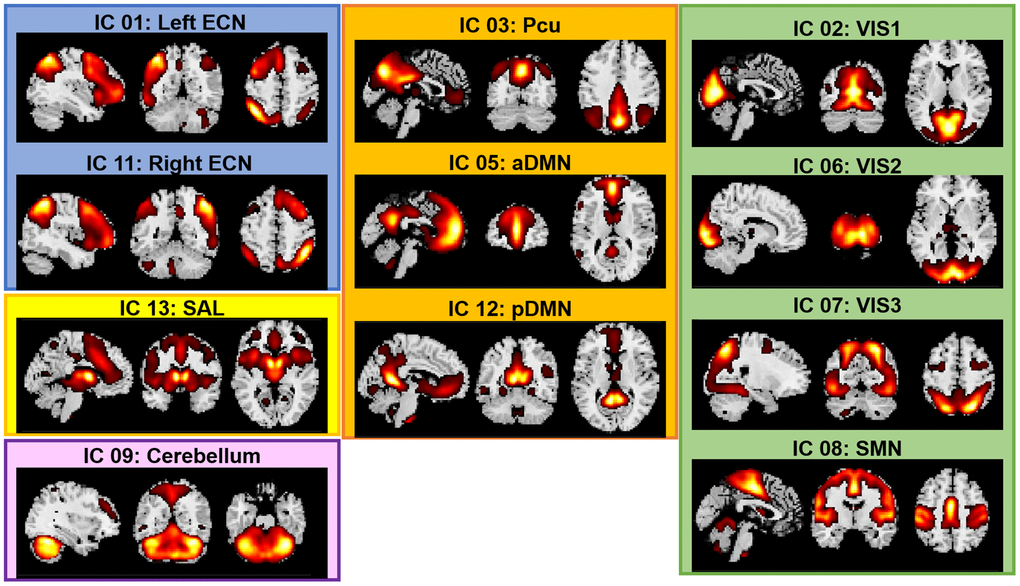 Spatial maps of the 11 networks identified across fMRI sessions and participants. Abbreviations: ECN: Executive Control Network; DMN: Default Mode Network; SAL: Salience Network; SMN: Sensorimotor Network; VIS: Visual Network; a: anterior; p: posterior; Pcu: Precuneus.