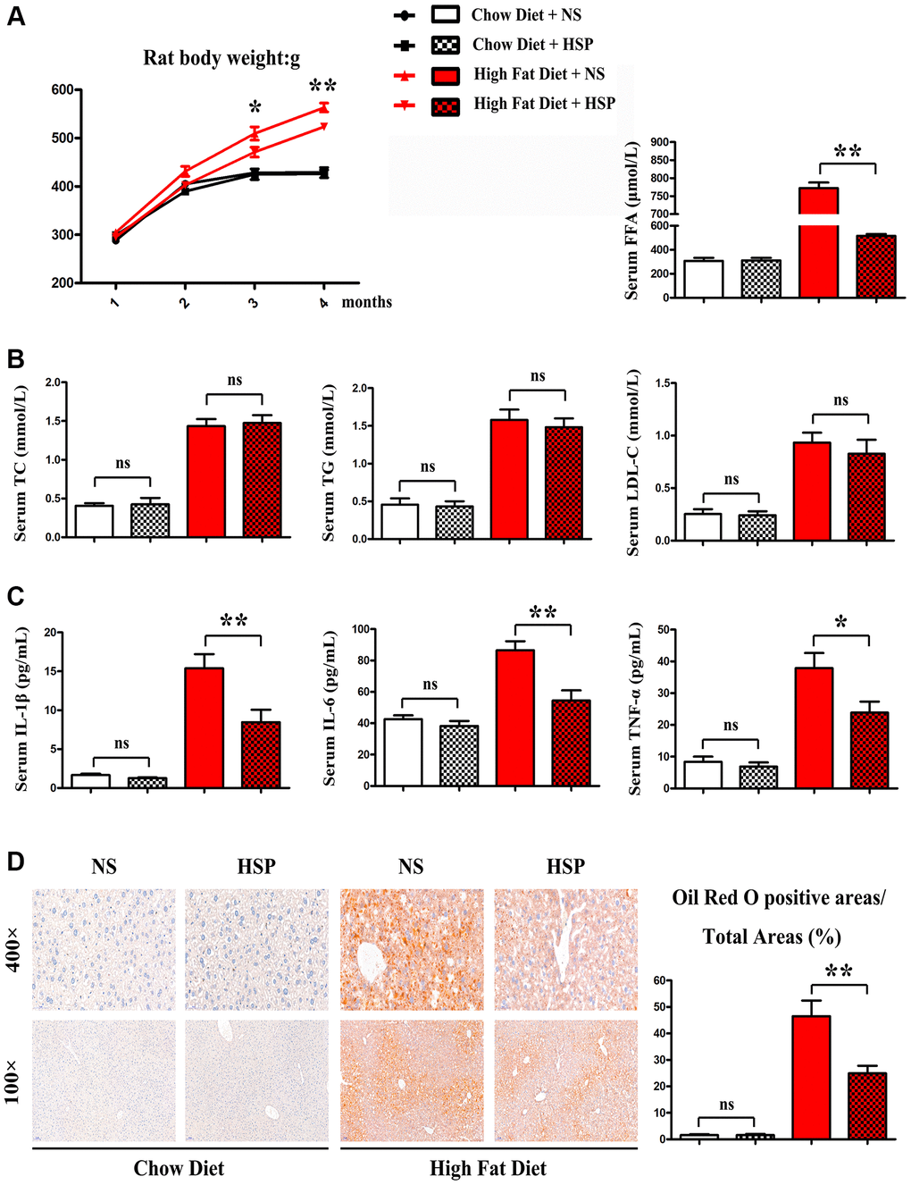 HSP suppressed HFD-induced body weight gain and hepatic steatosis but not serum lipid profile. SD rats were fed with CD or HFD for 4 months and were randomly divided into CD + NS group, CD + HSP group, HFD + NS group, and HFD + HSP group. (A) The body weight of the rat was evaluated. Data were presented as mean ± SEM. **P B) The levels of serum TC, TG, and LDL, FFA were examined (C) the levels of serum IL-1β, IL-6, TNF-α. Data were presented as mean ± SEM. (D) Histological analysis of hepatic steatosis stained with Oil Red O staining.