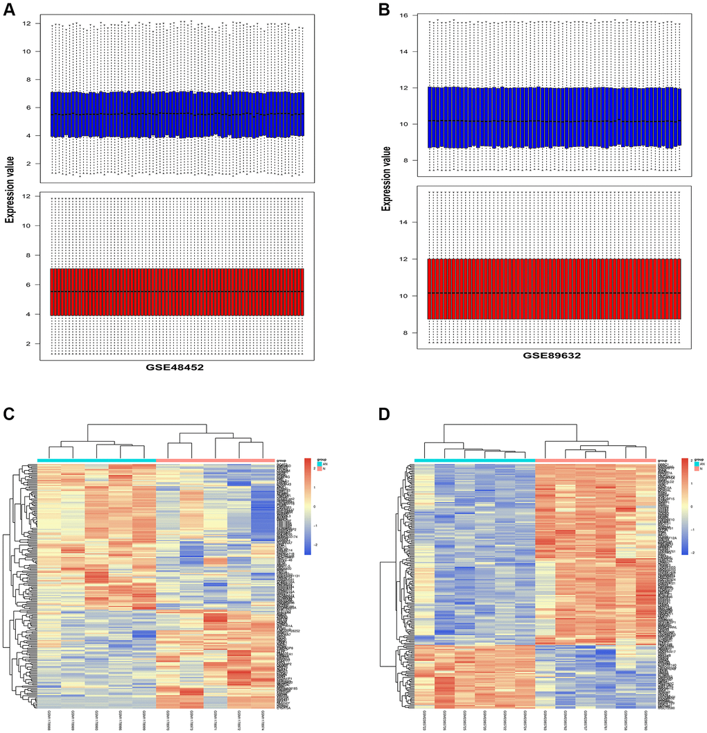 Identification of DEGs in two NAFLD-related GEO datasets. NAFLD-related gene expression profiles GSE48452 and GSE89632 were employed to detect the DEGs between NAFLD patients and healthy donors. (A) The results of pre-standardization and post-standardization based on GSE48452 were exhibited. (B) The results of pre-standardization and post-standardization based on GSE89632 were exhibited. (C) Heap map exhibited the upregulated and downregulated DEGs in GSE48452. X-axis exhibited samples. Y-axis exhibited the genes. The left dendrogram exhibited gene clustering. The upper dendrogram exhibited the sample clustering. (D) Heap map exhibited the upregulated and downregulated DEGs in GSE89632. X-axis exhibited samples. Y-axis exhibited the genes. The left dendrogram exhibited gene clustering. The upper dendrogram exhibited the sample clustering.