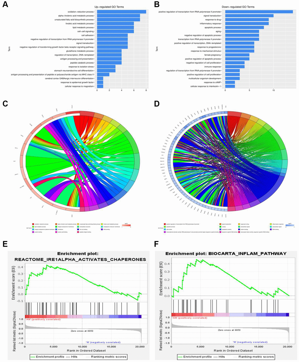 Functional annotation and GSEA analysis of DEGs. (A, B) GO and KEGG enrichment analysis of DEGs associated with NAFLD-related GSE48452. (C, D) GO and KEGG enrichment analysis of DEGs associated with NAFLD-related GSE89632. (E, F) GSEA of DEGs associated with NAFLD-related GSE48452 and GSE89632.