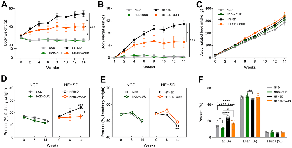 Curcumin ameliorates obesity in high-fat high-sugar diet (HFHSD) induced obese aged mice. (A) body weight (g), (B) body weight gain (g), (C) accumulated food intake (g) (n = 7-9). NMR spectrometry was conducted with normal chow diet (NCD), curcumin-supplemented normal control diet (NCD+CUR), high-fat high-sugar diet (HFHSD), and curcumin supplemented high-fat high-sugar diet (HFHSD+CUR) fed mice at baseline, 8 weeks, and 14 weeks of diet (n = 5-9). (D) fat/body weight percentage (%) (E) lean/body weight percentage (%) (F) overall comparison of fat/body weight percentage (%), lean/body weight percentage (%) and fluid/body weight percentage (%) at week 14. *p ≤ 0.05, **p ≤ 0.01, ***p ≤ 0.001 and ****p ≤ 0.0001.