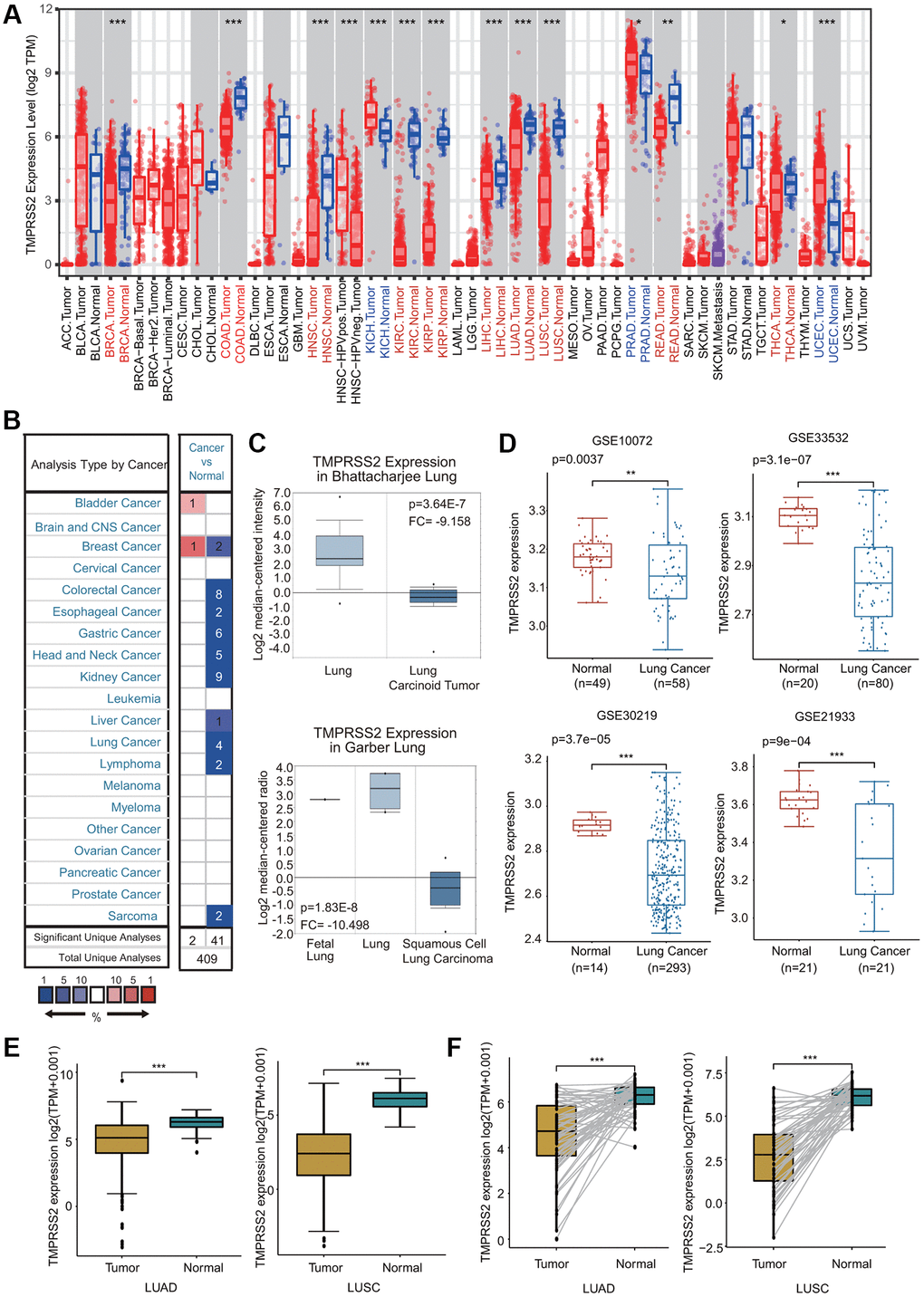 TMPRSS2 expression in lung cancer. (A) The mRNA expression of TMPRSS2 in different cancers from the TIMER database. (B) Upregulated or downregulated expression of TMPRSS2 in various tumors compared with normal tissues in the Oncomine database. (C) Box plots showing TMPRSS2 mRNA level in different types of lung cancer patients and normal individuals from the Oncomine database. (D) TMPRSS2 mRNA level in lung cancer patients and normal individuals in the GSE10072 (normal, n = 49; lung cancer, n = 58), GSE33532 (normal, n = 20; lung cancer, n = 80), GSE30219 (normal, n = 14; lung cancer, n = 293) and GSE21933 (normal, n = 21; lung cancer, n = 81) datasets. (E) TMPRSS2 expression is decreased in lung cancer (n = 81) compared with noncancerous adjacent tissues (n = 81) from the TCGA database. (F) TMPRSS2 expression in 58 and 50 matched LUAD and LUSC samples and adjacent normal lung tissues in the TCGA database was determined. *p **p ***p 