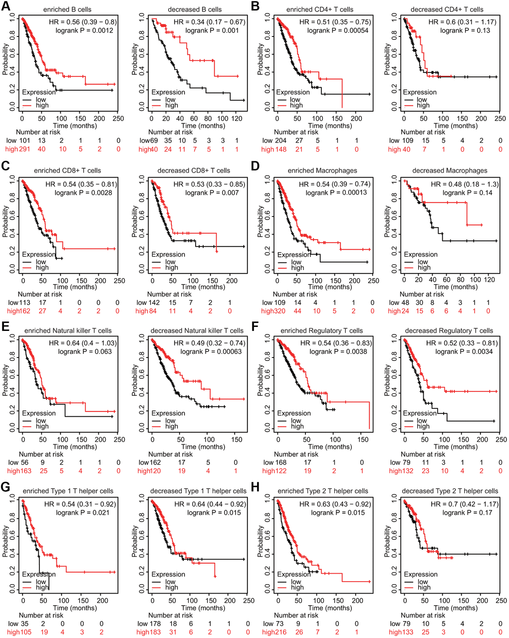 Kaplan–Meier survival curves based on high and low expression levels of TMPRSS2 in immune cell subgroups in LUAD. (A–H) The relationship between TMPRSS2 expression and the OS rate in different immune cell subgroups of LUAD patients was explored.