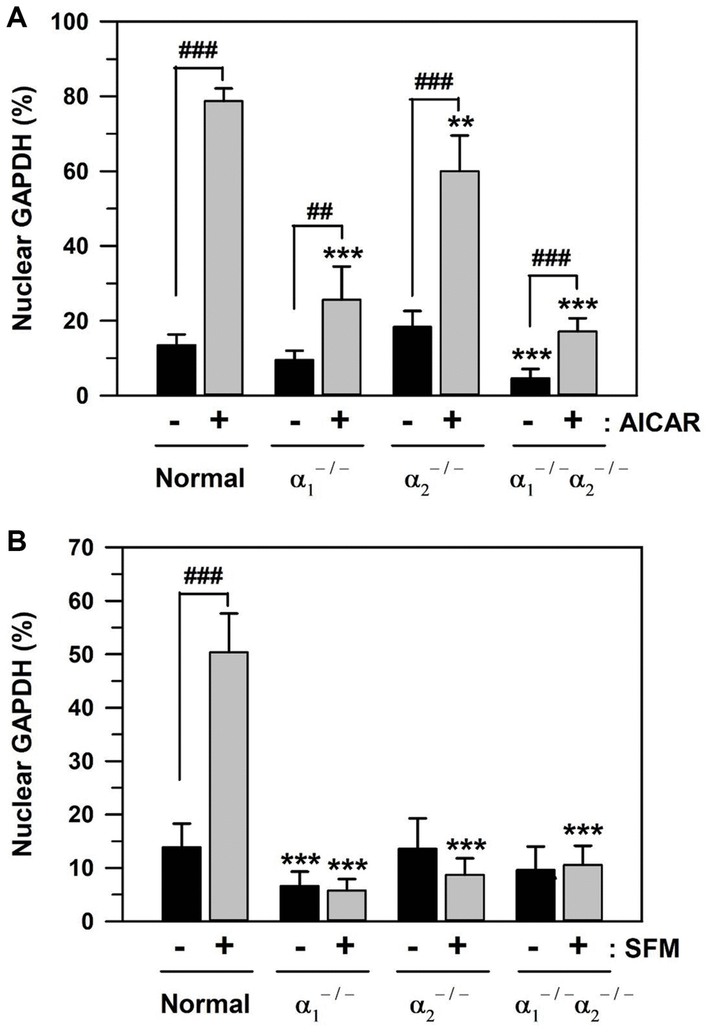 AICAR- and SFM-induced GAPDH translocation in AMPKα-knockout MEFs. (A and B) Normal and AMPKα-null MEF cells (AMPKα1−/−, AMPKα2−/−, and AMPKα1−/−/α2−/−) were cultured in 10% FBS medium for 2 days and then treated with 1 mM AICAR (A) or SFM (B) for 2 days. Cells were immunostained with a GAPDH-specific antibody and analyzed by confocal laser scanning microscopy. The number of cells having nuclear GAPDH with or without cytosolic GAPDH was counted, and the percentage distributions were calculated (n = 10 and 20 for total replicates in A and B, respectively) and plotted as means +/− standard deviations. **p ***p ##p ###p 