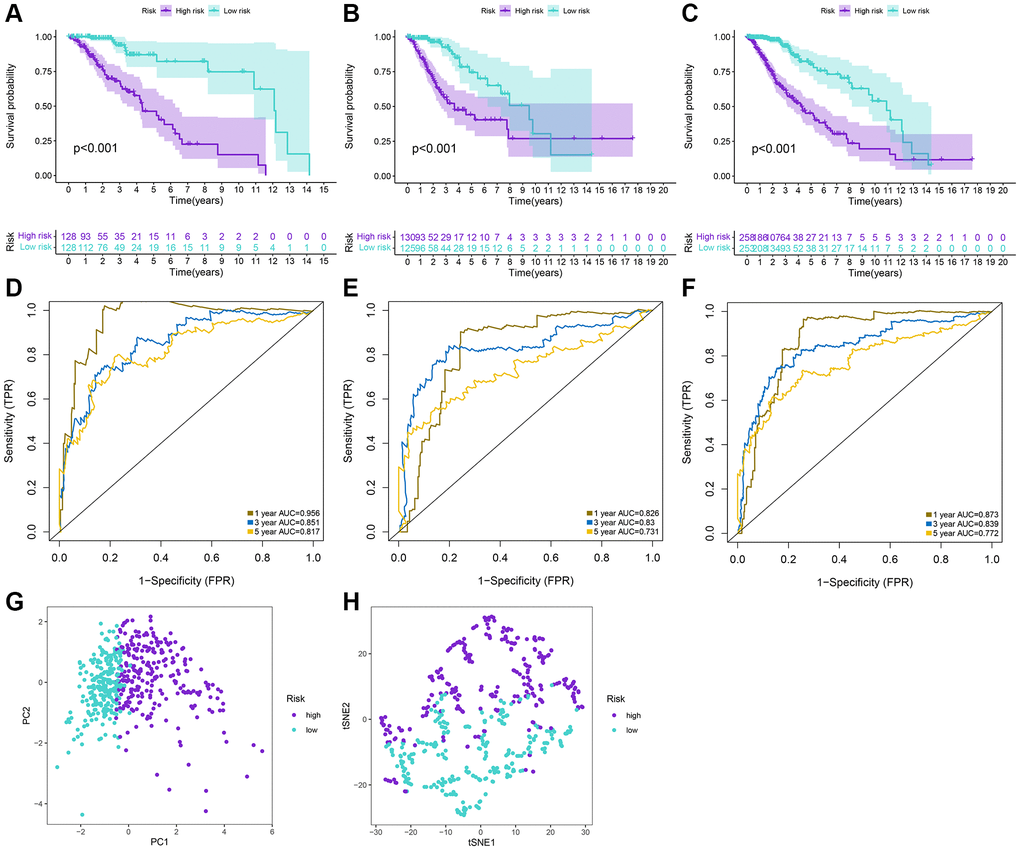 Prediction performances of the signature for LGG patients. (A–C) Kaplan-Meier analysis of high-risk and low-risk patients stratified by the median risk score in the training, test and whole sets. (D–F) Time-dependent ROC curves for 1-year, 3-year, and 5-year OS predictions by the signature in the training, test, and whole sets. (G, H) PCA and tSNE plots for LGG patients based on the risk groups.