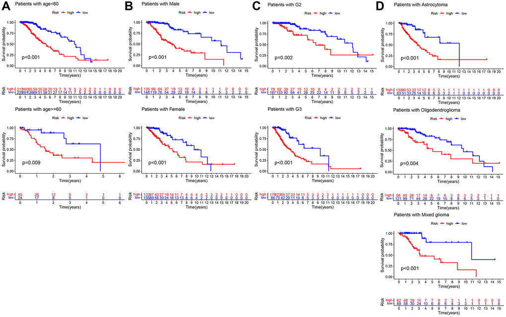 Kaplan–Meier survival curves of LGG patients in different clinical subgroups. (A) age. (B) Gender. (C) Grade. (D) Histology.