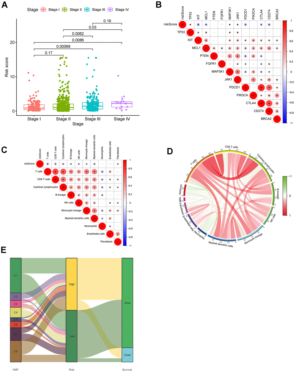 Correlation analysis of (A) Risk score and tumor stage. (B) Risk score and breast cancer-associated genes. (C) Risk score and immune cell infiltration. (D) TMB. (E) NMF clustering and risk score. Abbreviations: TMB: tumor mutation burden; NMF: non-negative matrix factorization.