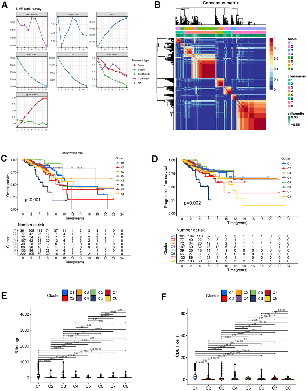 (A) Factorization rank for 2–10 clusters. (B) Heatmap of the gene expression of eight clusters. (C, D) K-M curves for OS and PFS in different subtypes. (E) B lineage cell infiltration in different subtypes. (F) CD8+ T cell infiltration in different subtypes. Abbreviations: K-M: Kaplan-Meier; OS: overall survival; PFS: progression-free survival.