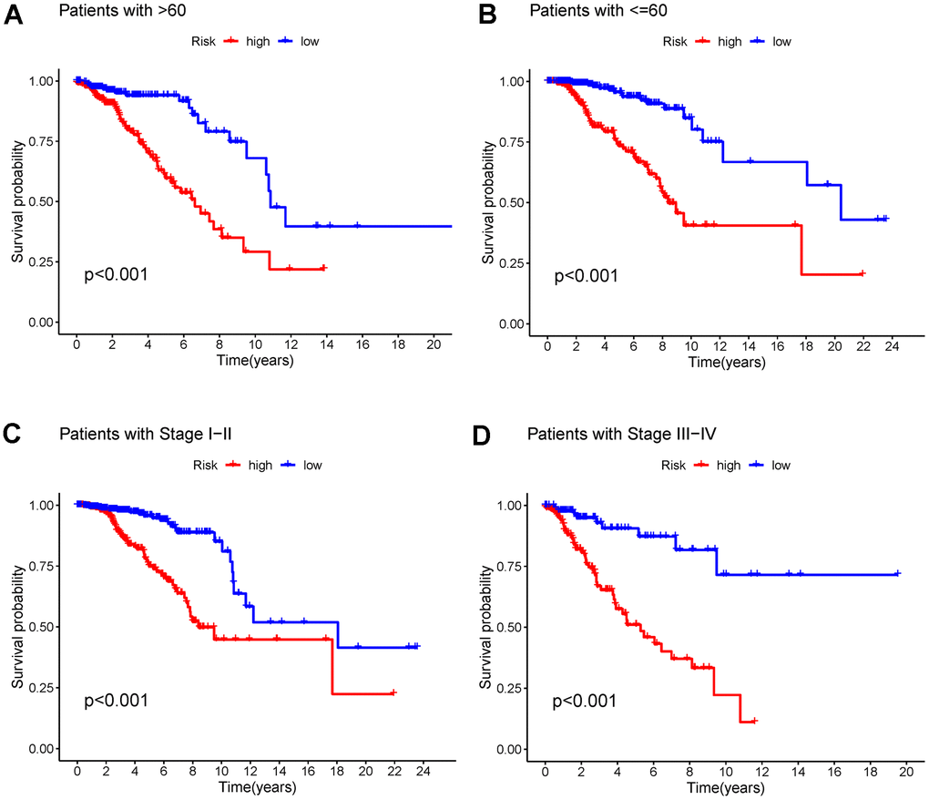 (A, B) K-M curves of OS for breast cancer patients age >60 and age ≤60 in the low- and high-risk groups. (C, D) K-M curves of OS for stage I-II and stage III-IV breast cancer in the low- and high-risk groups. Abbreviations: K-M: Kaplan-Meier; OS: overall survival.