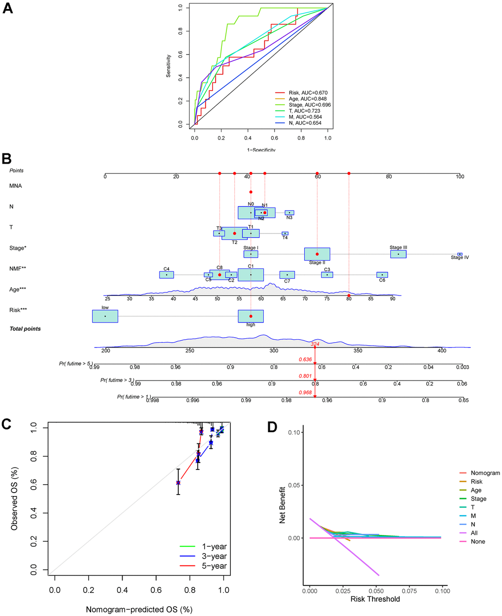 (A) Calculation of the AUC for risk score, age, stage, T, M, and N. (B) Nomogram-predicted model for breast cancer. (C) Calibration plots for 1-, 3-, and 5-year survival probabilities. (D) DCA of the nomogram, risk score, age, stage, T stage, M stage, and N stage. Abbreviations: AUC: area under the curve; DCA: decision curve analysis.