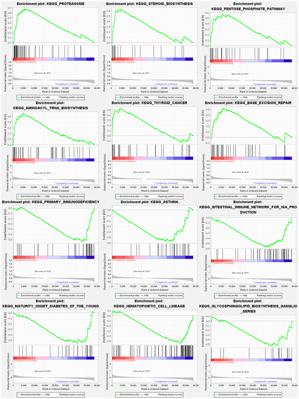 Gene set enrichment analyses.