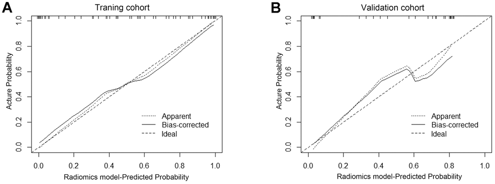 The calibration curve showed the consistency between the predicted and observed probabilities. Calibration curves were plotted in the training set (A) and in the validation set (B). The 45-degree reference line represents an ideal standard calibration line. The solid line represents the prediction performance of the radiomics model without overfitting correction. The dotted line is the performance of the nomogram after bootstrap correction, which is used as the prediction of future accuracy. The closer the prediction curve is to the standard curve, the better the prediction ability of the nomogram.