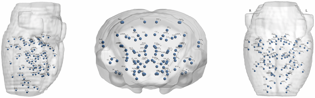 Locations of the 96 brain regions.