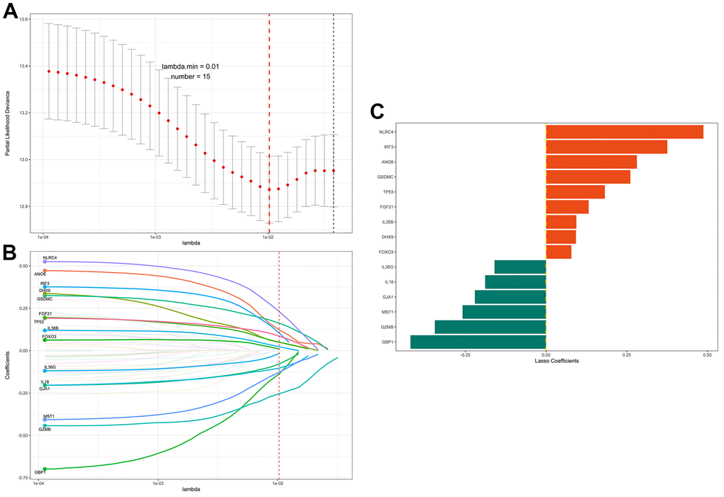 LASSO regression identifies prognosis-related genes. (A) The adjustment parameter (lambda) in the LASSO model was selected for 10-fold cross-validation by the minimum criterion. Partial likelihood deviation curves were plotted against lambda. Dotted vertical lines were drawn at the optimal values by using the minimum criterion and 1 standard error of the minimum criterion (1-SE criterion). (B) LASSO coefficient profiles of the 55 pyroptosis-related genes. A coefficient profile plot was produced against the log (lambda) sequence. A vertical line was drawn at the value selected using 10-fold cross-validation, where the optimal lambda resulted in 15 nonzero coefficients. (C) Distribution of the LASSO coefficients of the 15 immune-related gene signatures. The horizontal coordinate indicates LASSO coefficients, genes with negative coefficients in this regression indicate prognostic protective genes (green marker), and positive numbers indicate poor prognostic genes (red marker).