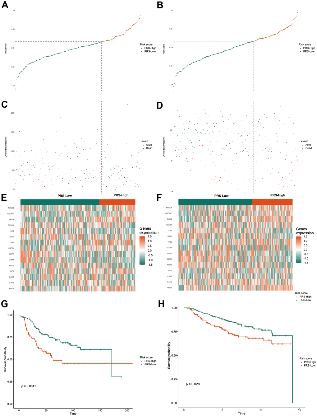 Validation of the gene signature in the external validation sets. The distribution and cutoff value of the risk score in the groups in the GSE20685 (A) and GSE21653 (B). The distributions of OS status, OS and the risk score in the GSE20685 (C) and GSE21653 (D). The expression heatmap of the 15 pyroptosis-related prognostic genes between the high and low-PRS groups in the GSE20685 (E) and GSE21653 (F). Kaplan-Meier curves for the OS of patients in the high-risk group and low-risk group in the GSE20685 (G) and GSE21653 (H) cohorts. TCGA, The Cancer Genome Atlas; GSE, gene expression omnibus series; OS, overall survival; PRS, pyroptosis-related risk score; High-PRS, high pyroptosis-related risk score; Low-PRS, low pyroptosis-related risk score.