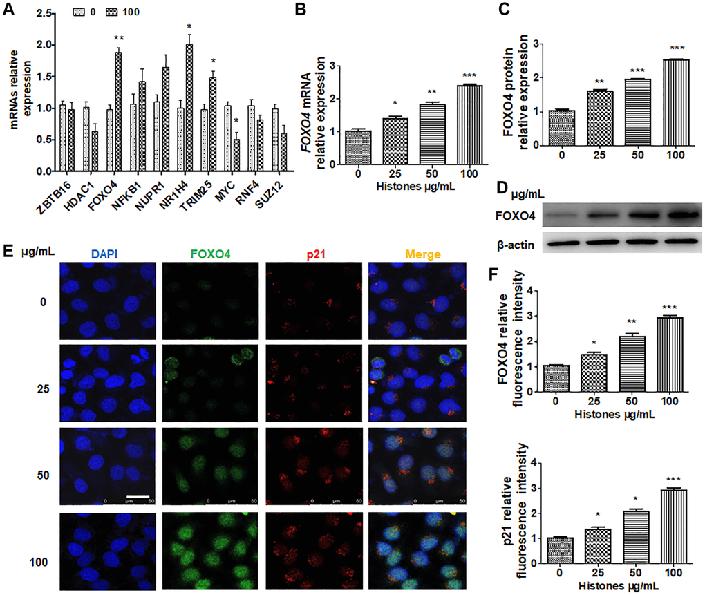 Extracellular histones induce inflammation and senescence of vascular ...