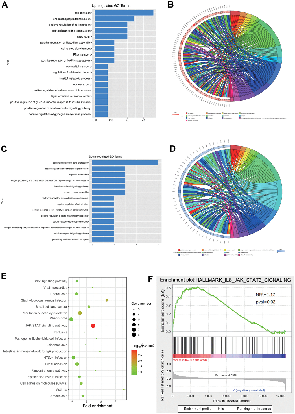 Enrichment analysis for the DEGs in GSE64763. (A, B) Enrichment maps of the up-regulated DEGs. (C, D) GO enrichment of the down-regulated genes was enriched in positive epithelial cell proliferation regulation. (E) KEGG showed that the main enriched pathways included JAK-STAT signaling pathway. (F) GSEA analysis manifested the JAK-STAT3 signaling pathway.