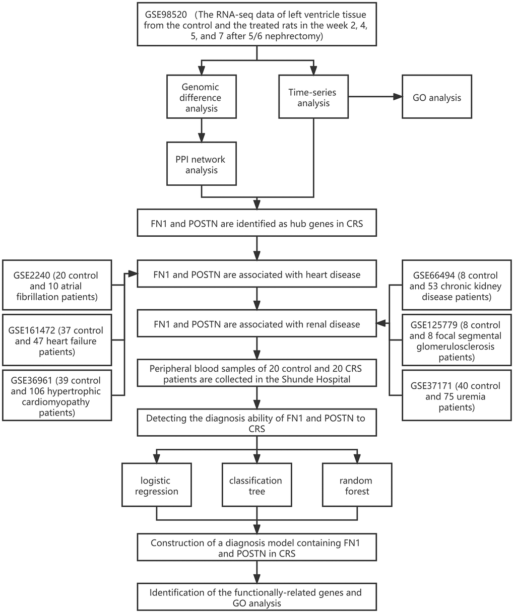 The workflow of the present study.