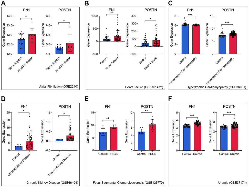 FN1 and POSTN were up-regulated in multiple heart disease and renal diseases samples, including atrial fibrillation (A), heart failure (B), hypertrophic cardiomyopathy (C), chronic kidney disease (D), focal segmental glomerulosclerosis (E), and uremia (F), compared with the control samples. Abbreviations: FSGS: focal segmental glomerulosclerosis. *P **P ***P 