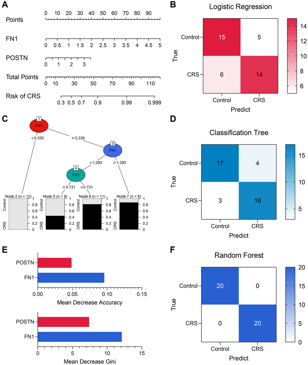 The machine learning models encompassing FN1 and POSTN to diagnose CRS. (A) A nomogram was drawn to visualize the logistic regression model. (B) The confusion matrix showed the predictive performance of the logistic regression model. (C) The classification tree was established to diagnose CRS. (D) The confusion matrix of the classification tree model. (E) The mean decrease accuracy and mean decrease Gini of the features in the random forest model. (F) The confusion matrix exhibited that the random forest model could distinguish the CRS samples with high efficacy. Abbreviation: CRS: cardiorenal syndrome.