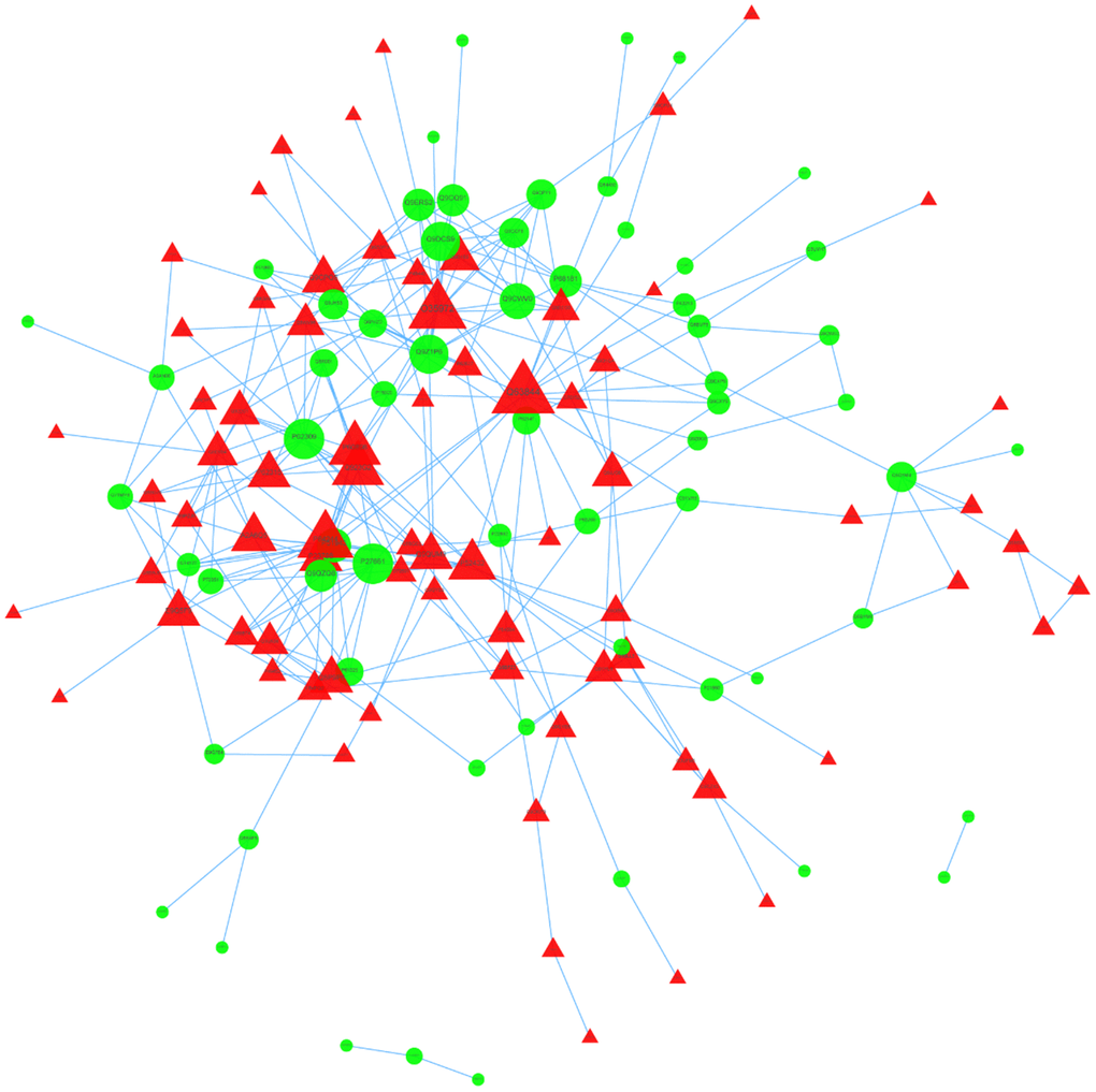 PPI network of DEPs.