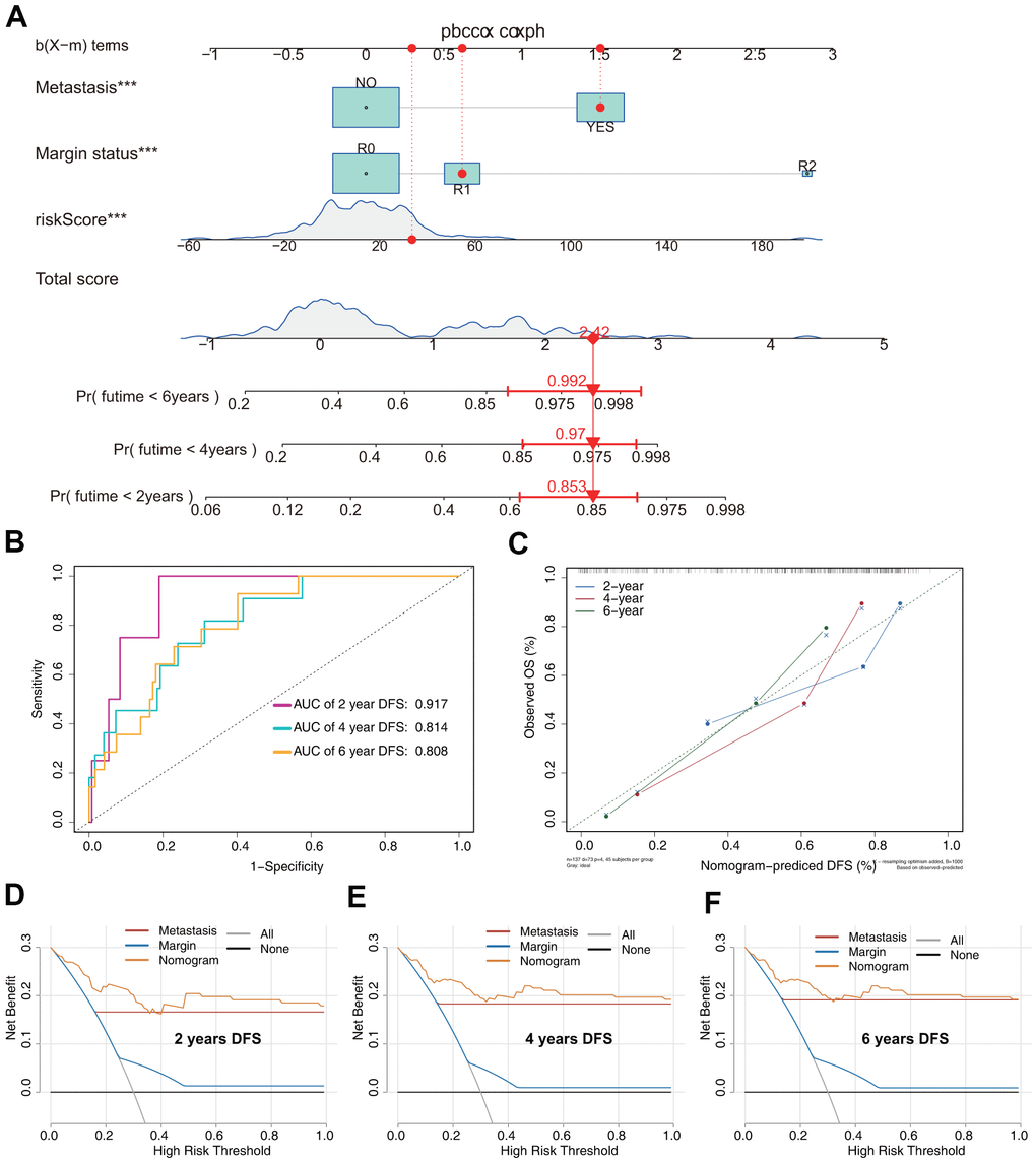 Prediction model of DFS in patients with sarcoma. (A) Nomogram constructed based on the three independent risk factors identified by Cox hazards analysis. (B) ROC analysis of DFS prediction in patients with sarcoma. (C) Calibration plot for evaluating the estimation accuracy of the nomogram. (D) Two-year DCA comparing the model and other clinical features. (E) Four-year DCA comparing the model and other clinical features. (F) Six-year DCA comparing the model and other clinical features.