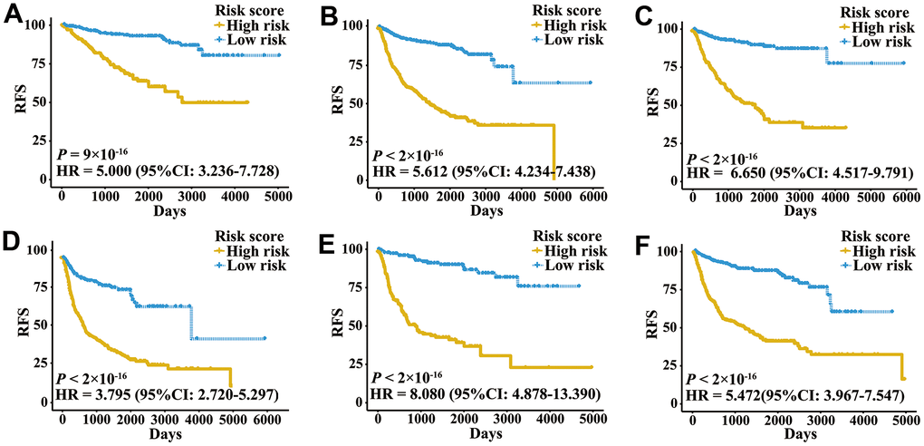 Kaplan-Meier curves of patients with different clinical factors in the meta-training cohort. (A) RFS among patients with early-stage disease. (B) RFS among male patients. (C) RFS among patients younger than 60 years. (D) RFS among patients with late-stage disease. (E) RFS among female patients. (F) RFS among patients older than 60 years.