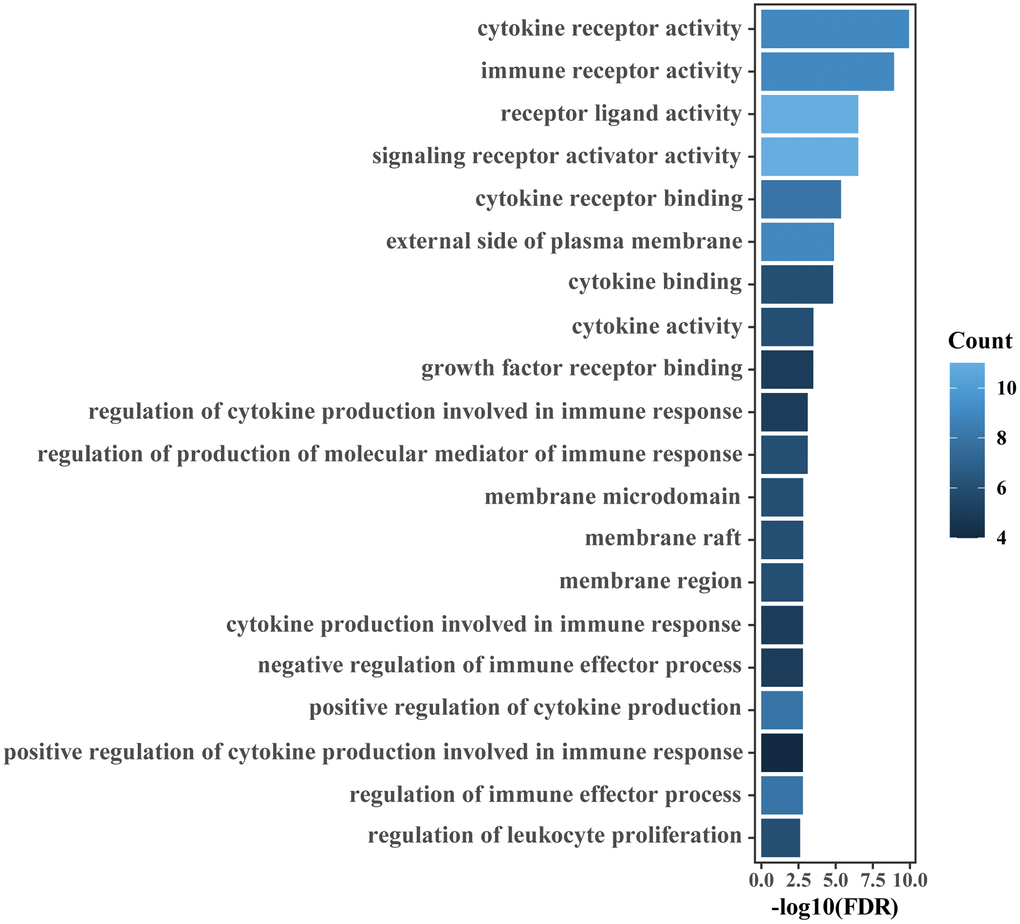 GO enrichment analyses of IRGs relevant to the IRGPI. The top 20 GO terms ranked by FDR are listed.