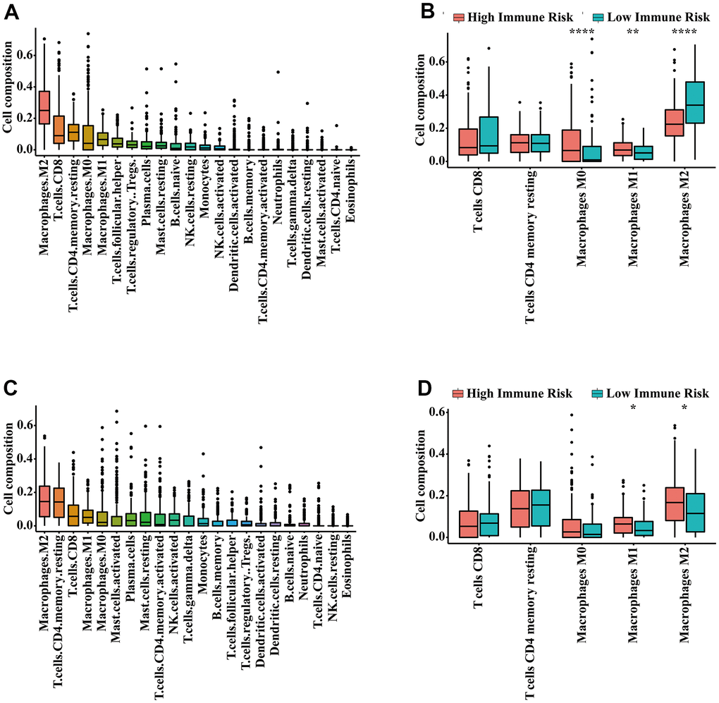 Infiltrating immune content related to the IRGPI. (A) The abundance of 22 immune cells in the meta-training cohort. (B) Immune cell abundance within each risk group in the meta-training cohort. The top five immune cells ranked by abundance are contrasted. (C) The abundance of 22 immune cells in the meta-validation cohort. (D) Immune cell abundance within each risk group in the meta-validation cohort. The top five immune cells ranked by abundance were contrasted. P-values were calculated with the Wilcoxon test (* P P P 