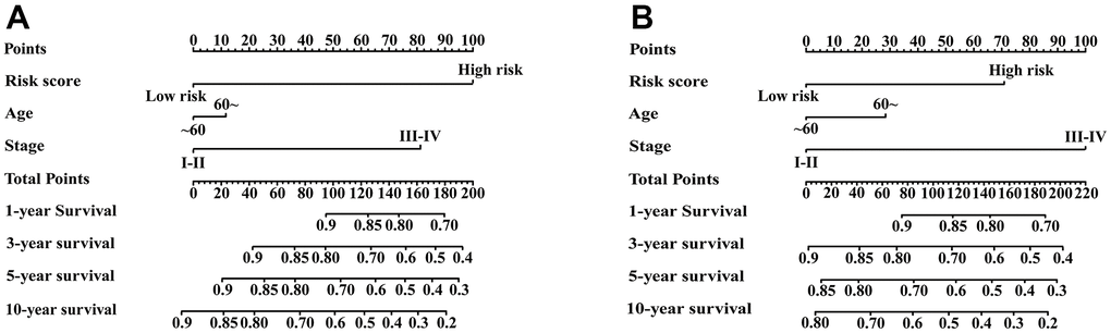 Nomograms constructed for predicting 1-, 3-, 5-, and 10-year RFS. (A) Nomograms predicting 1-, 3-, 5- and 10-year RFS rates among patients in the meta-training set. (B) Nomograms predicting 1-, 3-, 5- and 10-year RFS rates among patients in the meta-validation set.