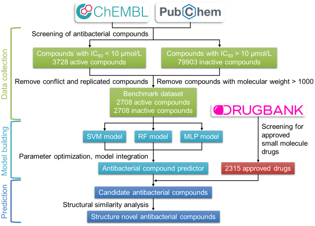 Flow chart of the construction of the antibacterial compound prediction model. The benchmark dataset was built using the active and inactive antibacterial compounds downloaded from the ChEMBL and the PubChem database. The combination of SVM, RF, and MLP methods was used to construct the antibacterial compounds predictor, which is used to predict the antibacterial activity of approved small-molecule drugs from the DrugBank database.