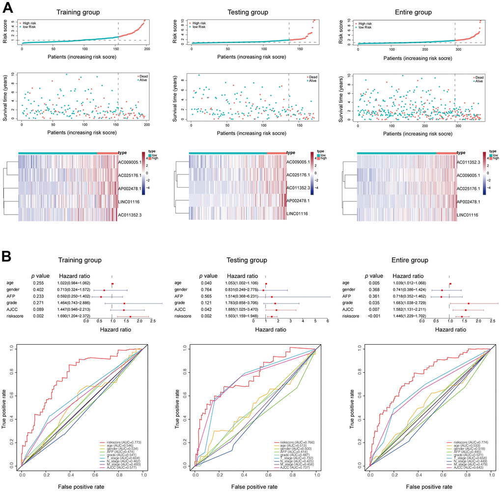 (A) Mortality status and lncRNAs expression in each patient were plotted according to the ordered risk score. (B) Multivariate and ROC curves confirmed the EMT-related lncRNA signature as an independent prognostic factor for HCC.